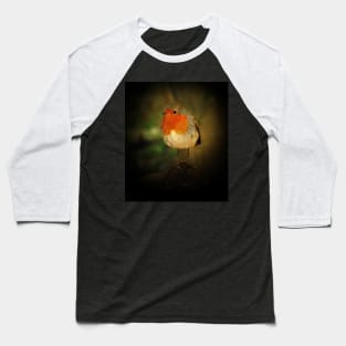 Robin Baseball T-Shirt